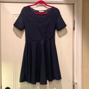 EUC lush Navy fit and flare shadow stripe dress